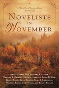 Novelists in November: A Wild Blue Wonder Press Anthology (en Inglés)