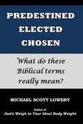 Predestined - Elected - Chosen: What do these Biblical terms really mean? (en Inglés)