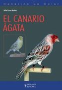 El Canario Ágata (Canarios de Color)