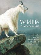 Wildlife in American Art: Masterworks From the National Museum of Wildlife art (en Inglés)