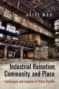 Industrial Ruination, Community and Place: Landscapes and Legacies of Urban Decline (en Inglés)