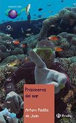 Prisioneros del mar (Castellano - Juvenil - Paralelo Cero)