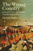 The Wrong Country: Essays on Modern Irish Writing (en Inglés)