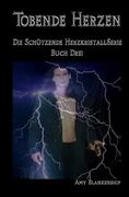 Tobende Herzen: Der Schützende Herzkristall Buch 3 (en Alemán)