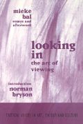 looking in: the art of viewing (en Inglés)