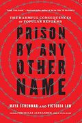 Prison by any Other Name: The Harmful Consequences of Popular Reforms (en Inglés)