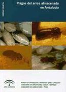 Plagas Del Arroz Almacenado En Andalucía