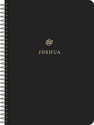 ESV Scripture Journal, Spiral-Bound Edition: Joshua (Paperback)