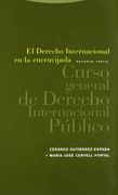 El Derecho Internacional En La Encrucijada. Curso General De Derecho Internacional Público (Estructuras y Procesos. Derecho)