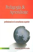 Pedagogía & Aprendizaje Profesional en la Enseñanza Superior