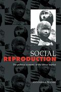 Social Reproduction Hardback: The Political Economy of the Labour Market (en Inglés)
