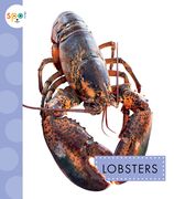 Lobsters