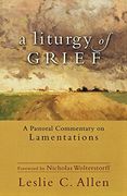 a liturgy of grief,a pastoral commentary on lamentations