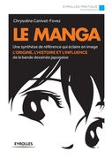 Le Manga: Une synthèse de référence qui éclaire en image (en Francés)