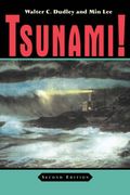 tsunami!