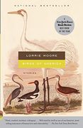 Birds of America: Stories (Vintage Contemporaries) (en Inglés)