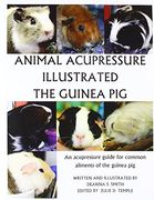 Animal Acupressure Illustration the Guinea pig (en Inglés)