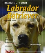 training your labrador retriever