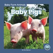 Baby Pigs (en Inglés)