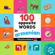 100 Opposite Words in Armenian: Bilingual Picture Book for Kids: English (en Inglés)