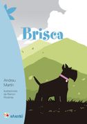 Brisca (in Spanish)