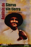 Análisis de Siervo sin Tierra