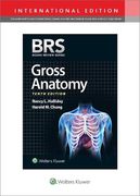 Brs Gross Anatomy