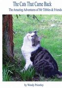 The Cats That Came Back 