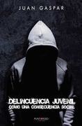 Delincuencia Juvenil Como una Consecuencia Social