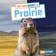 Day and Night on the Prairie (en Inglés)