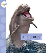 Dolphins (Spot Ocean Animals) (en Inglés)