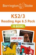 Ks23 Reading age 65 pk