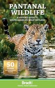 Pantanal Wildlife: A Visitor’S Guide to South America’S Great Wetland