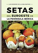Setas del Suroeste de la Península Ibérica