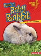 Meet a Baby Rabbit (en Inglés)