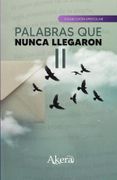 Palabras que nunca llegaron II