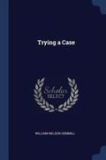Trying a Case (en Inglés)