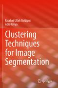 Clustering Techniques for Image Segmentation