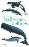 Ballenas y Delfines