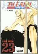 Bleach 23