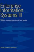 enterprise information systems iii