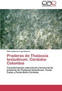 Praderas de Thalassia testudinum. Córdoba-Colombia: Caracterización estructural y funcional de praderas de Thalassia testudinum. Punta Calao y Punta Bello Córdoba
