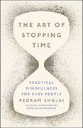The Art of Stopping Time