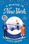 A Winter in new York: A Novel (Random House Large Print) 