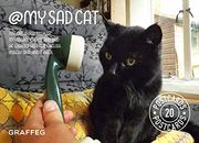 My Sad Cat Postcard Pack