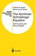 the nonlinear schr dinger equation: self-focusing and wave collapse