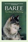 baree,the story of a wolf-dog