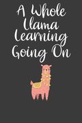 A Whole Llama Learning Going on: First day of School Adventure Book