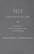 Self and Emotional Life: Merging Philosophy, Psychoanalysis, and Neuroscience (en Inglés)