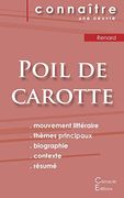 Fiche de Lecture Poil de Carotte de Jules Renard (en Francés)